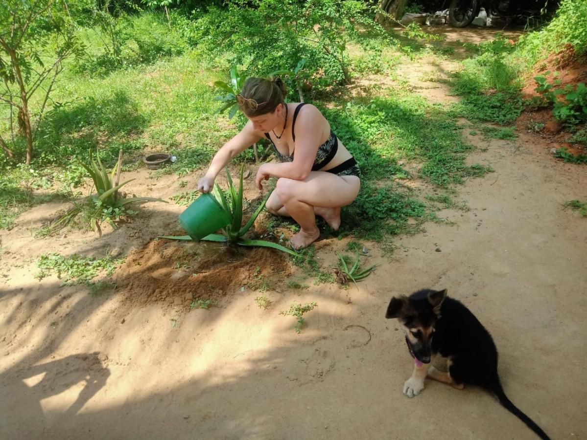 Beach Bungalow Yala Kirinda  Eksteriør bilde